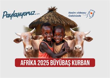 2025 BÜYÜKBAŞ VACİP BOĞA